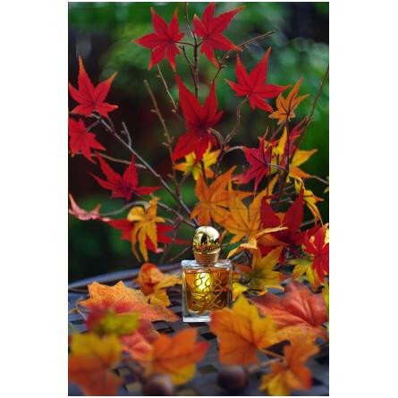 Les 4 Saisons: Automne-ام میکالف لس 4 سیسون اتومن