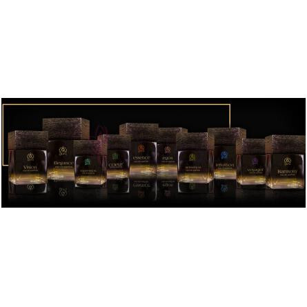 Vision-گورو پرفیومز ویژن