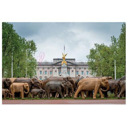 CoExistence-زرجوف کوئکسیستنس