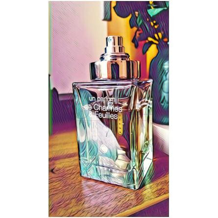 Charmes et Feuilles-دیفرنت کمپانی چرم ات فویل