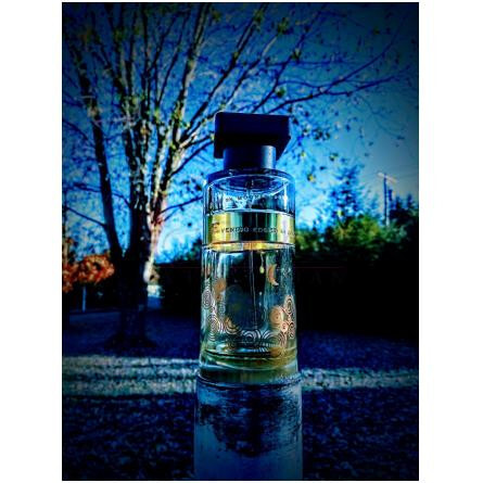 Evening Edged In Gold-اینه که ایونینگ ادجد این گاد