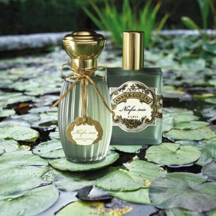 Ninfeo Mio-آنیک گوتال نینفئو