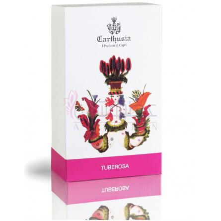 Tuberosa-کارتوزیا توبرزا