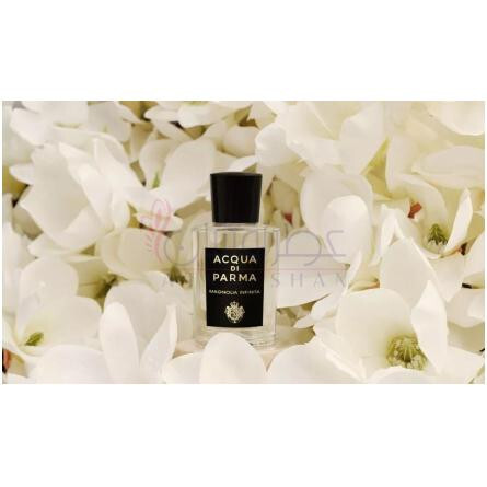 Magnolia Infinita-آکوا دی پارما مگنولیا اینفینیتا