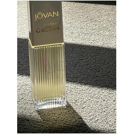 Island Gardenia-جووان ایسلند گاردنیا