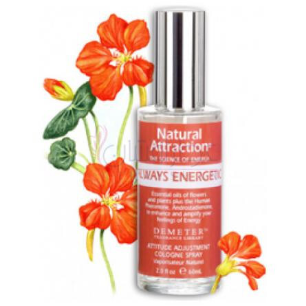 Always Energetic-دیمتر فرگرنس الویز انرژتیک