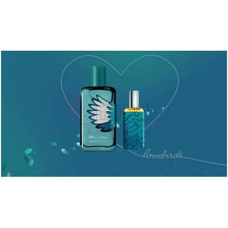 Orange Sanguine Love Birds Collector-آتلیه کلن اورنج سنگوئین لاو بردز کالکتور