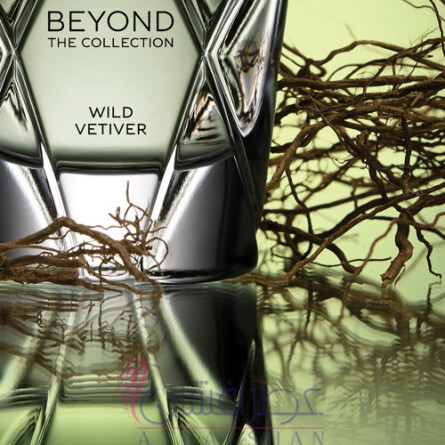 Wild Vetiver-بنتلی وایلد وتیور