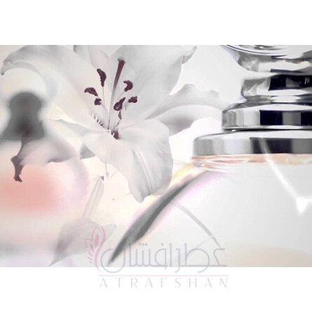 Reve-ون کلیف اند آرپلز رِوِه (ون کلیف اند آرپلس ریوه)