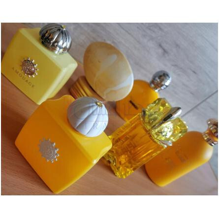 Mango-ماکس فلیپ مانگو