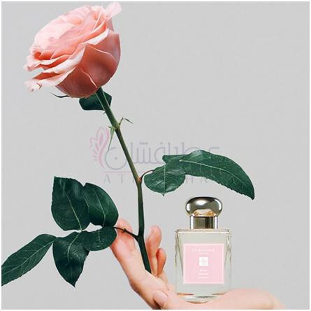 Rose Blush Cologne (2023)-جو مالون رز بلاش کلن 2023