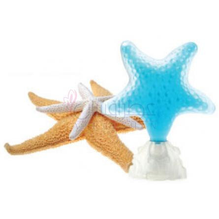 Star-سی جولز استار