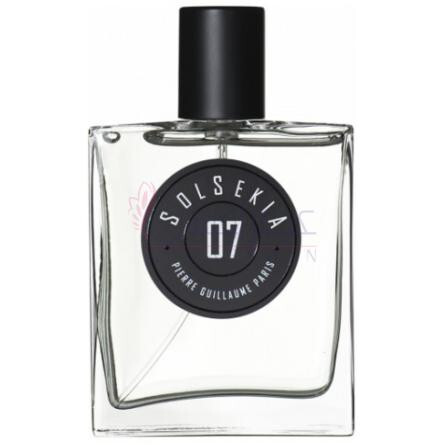 Solsekia 07-پیر گیوم پاریس سولسکیا 07