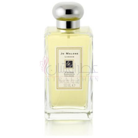 Vintage Gardenia-جو مالون وینتیج گاردنیا