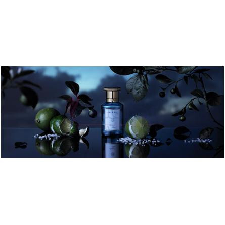 Sicilian Limes-شی اند بلو لاندن سیسیلین لایمز