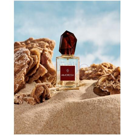 AMOROSA-کوآرمه امورزا