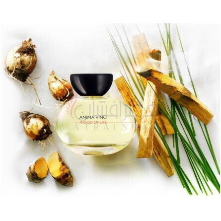 Wood Of Life-انیما وینچی وود اف لایف
