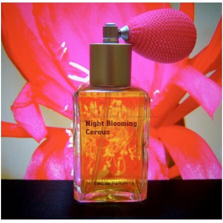 Night Blooming Cereus-پاراگون پرفیومز نایت بلومینگ سرئوس