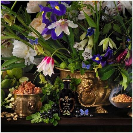 The Heart of Leo-گوچی د هرت اف لئو