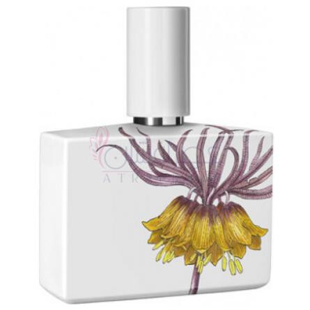 Clemency Limited Porcelain Edition-هومیکی اند گریف کلمنسی لیمیتد پورسلین ادیشن