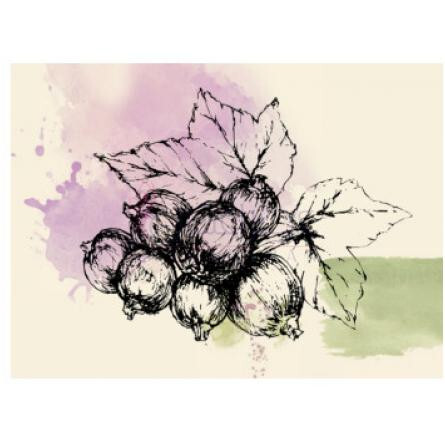 No. 5-الن شاو شماره 5