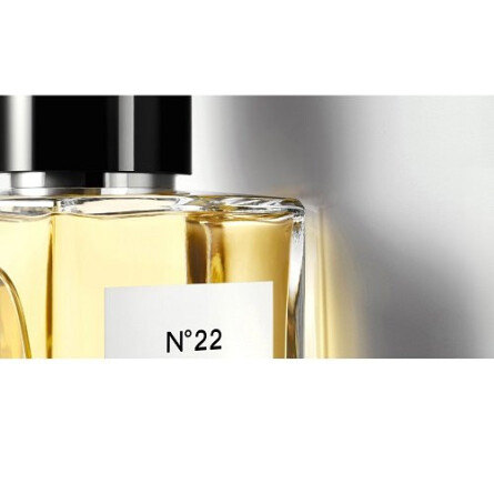 Chanel no best sale 22 parfum