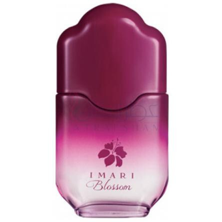 Imari Blossom-اوان ایماری بلوسوم