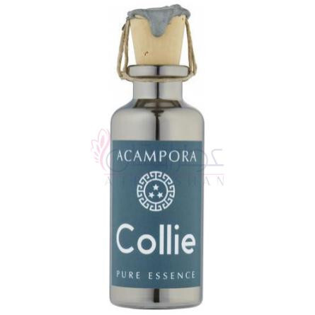 Collie Pure Essence-برونو آکامپورا کولی پیور اسنس