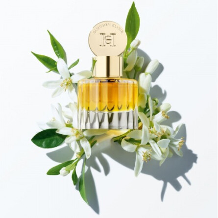 Blossom Elixir-کارولینا هررا بلوسوم الکسیر