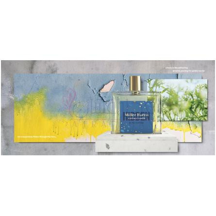 Hidden on the Rooftops-میلر هریس هایدن ان د روف تاپس