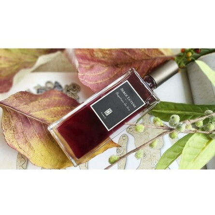 Bapteme du Feu-سرج لوتنس باپتم دو فیو