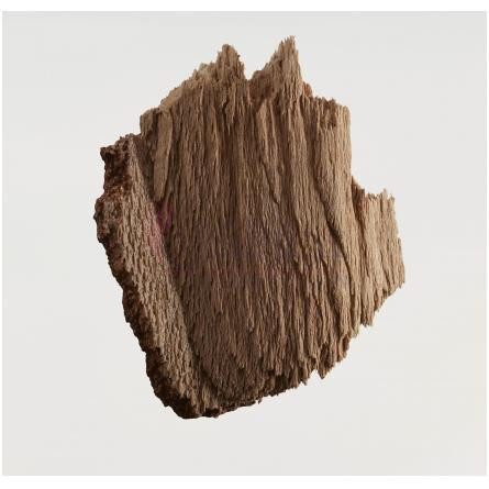 Snow Blossom-باربری اسنو بلوسوم