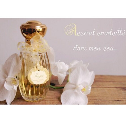 Songes-آنیک گوتال سانجز