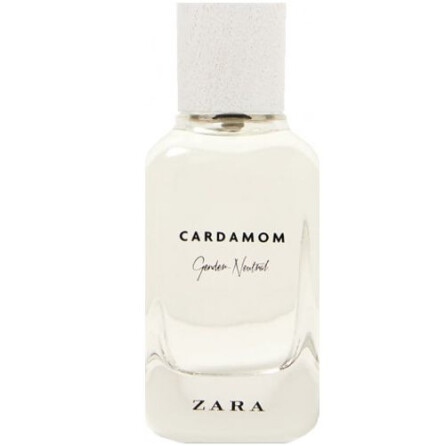 zara black eau de toilette