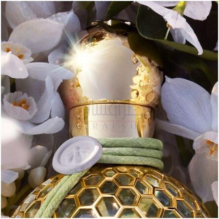 Nerolia Vetiver Harvest-گرلن نورلیا وتیور هاروست