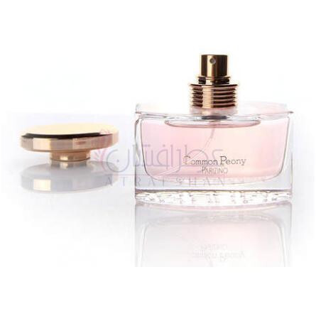 Common Peony 国色天香-پاریزینو کامان پیونی