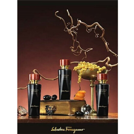 salvatore ferragamo golden acacia