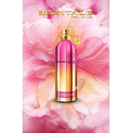 Intense Cherry-مونتال اینتنس چری