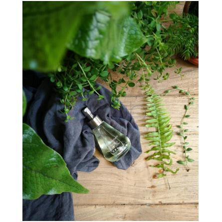 Shi-sõ-نومن کالچر شی سو