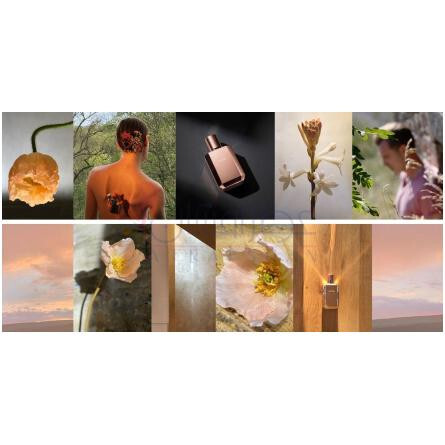 Érose-الیسیر ایروس