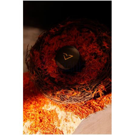 ANKA-ورتوس انکا