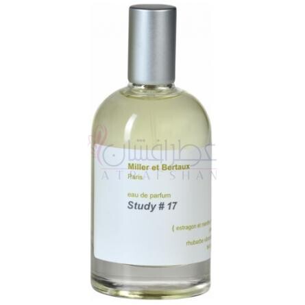 Study No. 17-میلر اِ بِرتو استادی نو 17