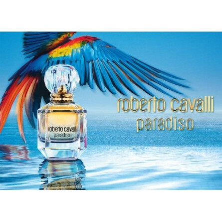 Roberto cavalli deals paradiso