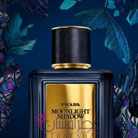 prada moonlight shadow