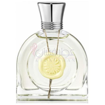 Fleur Lumière-ام میکالف فلور لومیر