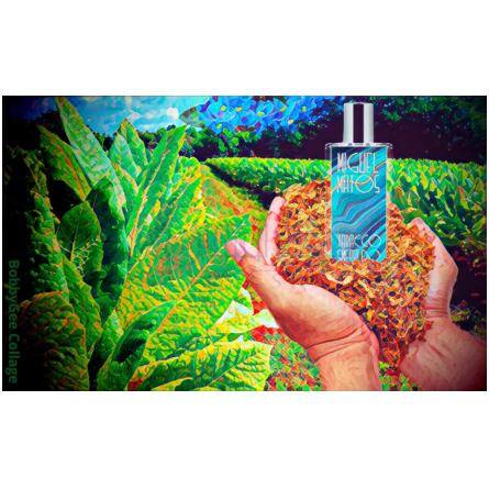 Tabacco Smeraldo-میگل ماتوس تاباکو اسمرالدو