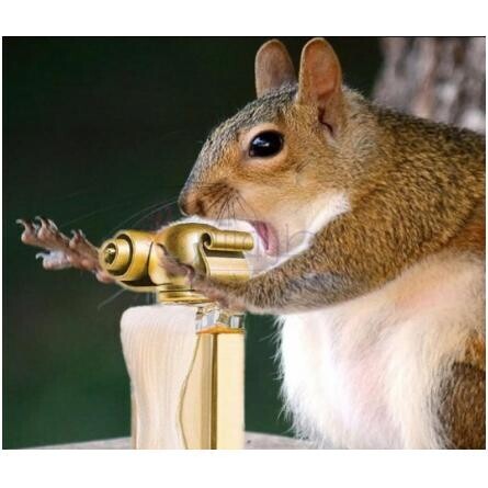 Organza Legere (Eau de Toilette)-جیونچی ارگانزا لجر ادوتویلت