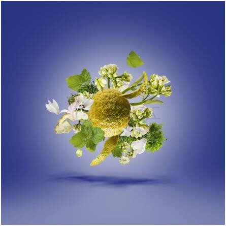 Torino23-زرجوف تورینو 23