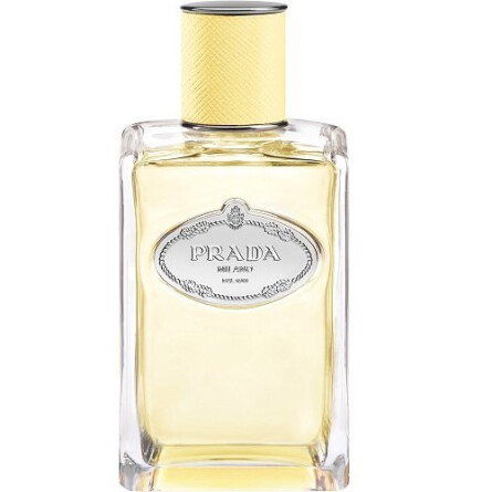 Infusion de Mimosa-پرادا اینفیوژن د میموسا