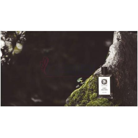 Cento Orizzonti-دی اف جی 1924 سنتو اوریزونتی